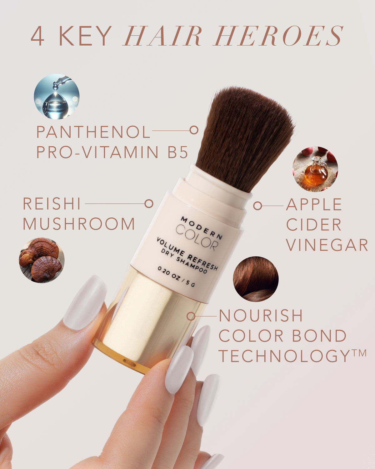 Volume Refresh Dry Shampoo Powder Brush – Modern Color