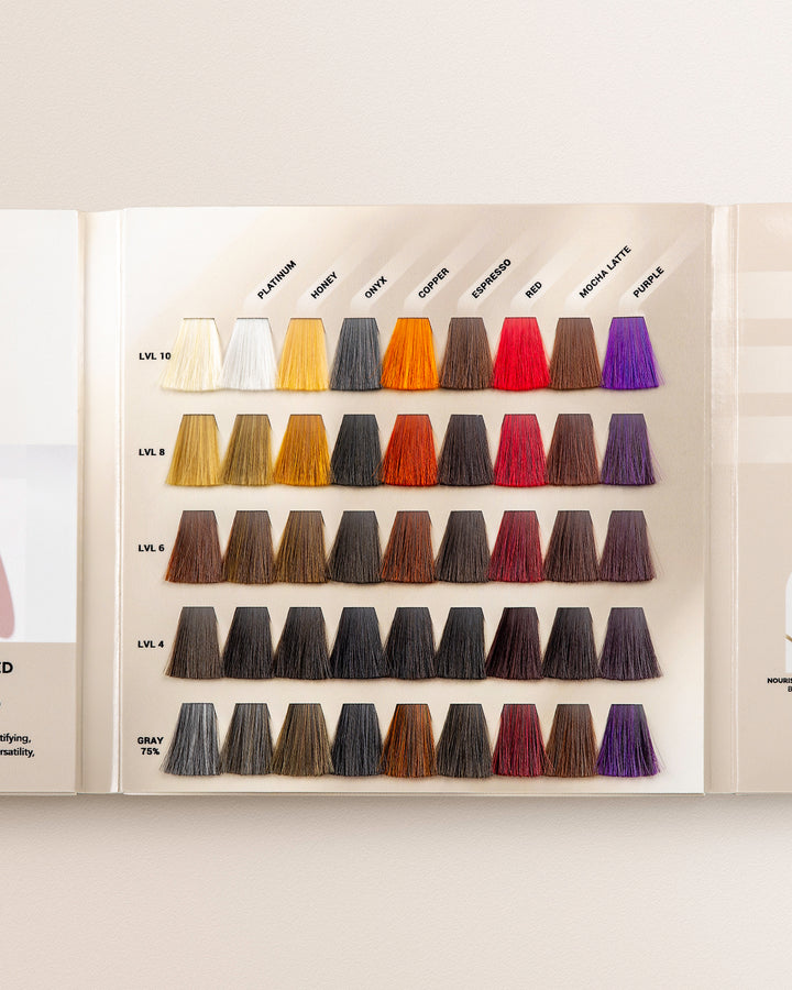 3-In-1 Color Refresh Professional Swatch Book