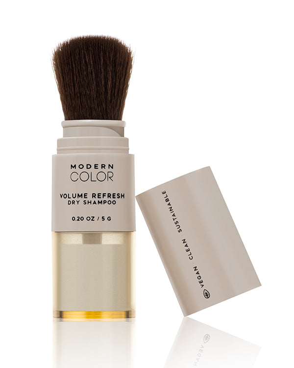 Volume Refresh Dry Shampoo Powder Brush – Modern Color