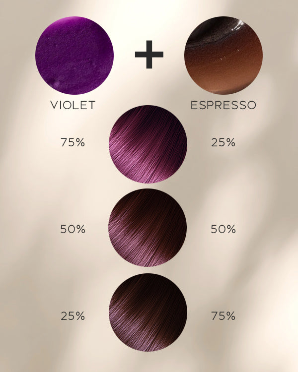 3-IN-1 HAIR COLOR REFRESH + CLEANSE + CONDITION - Plum Burgundy Bundle (Espresso + Violet)