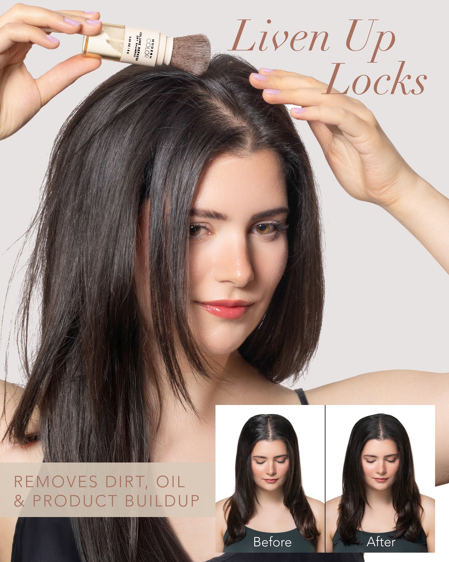 Volume Refresh Dry Shampoo Powder Brush – Modern Color