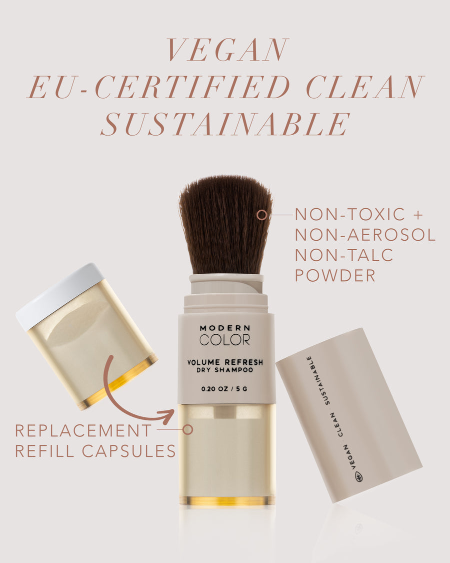 Volume Refresh Dry Shampoo Powder Brush – Modern Color